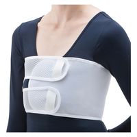 竹虎 アドール メッシュ 033070(フリー) 1箱(5枚)（直送品）