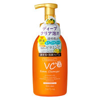 ドウシシャ プラチナレーベル VC酵素配合泡洗顔