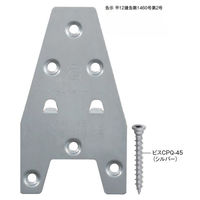 RY BXJlV DP-2 G[Xev[gES 1P[X(100)iij