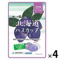 北海道ハスカップグミラブレ乳酸菌入 グミ ご当地 1セット（1個×4） カネカ食品