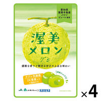 渥美メロングミラブレ乳酸菌入 グミ ご当地 1セット（1個×4） カネカ食品