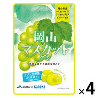 岡山マスカットグミラブレ乳酸菌入 グミ ご当地 1セット（1個×4） カネカ食品