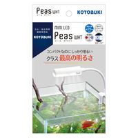 エキゾテラ GEX EXOTERRA グラステラリウム3060 オマケあり Amazon | エキゾテラ GEX EXOTERRA グラステラリウム 4530