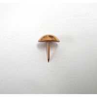 Amazon.co.jp: 錺技研 太鼓鋲 正銅 約1000本入 11X16 : DIY