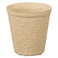 y|piz AXNJ^OTCNFlowerpot 2.5LiAؔj 1 IWi