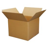 トッパン・コスモ 140サイズダンボール 5枚セット 49×49×32cm FD32-0005-SK 1セット(5枚)（直送品）