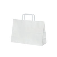 パックタケヤマ 紙手提袋 H平XS 晒無地 XZT69825 1包(50枚)