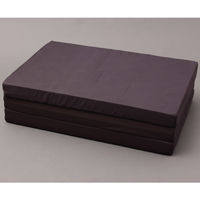 アイリスオーヤマ エアウレタン2層式ボリュームマットレス MTRV-S 1セット(1枚×2)