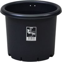 アップルウェアー 菊鉢6号 ブラック 4905980971080 1セット(1個×3)