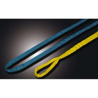 田村総業 ラウンドスリング SSタイプ(JISマーク表示品) SSーHN・SSーHE SSーHNーW016ー5 1P（直送品）