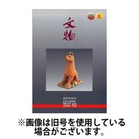 文物 2024/11/20発売号から1年(12冊)（直送品）