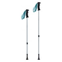 ウォーキングポール HATACHI SUNPO WALKER ブルー WH1600 1組（2本）伸縮式 散歩ウォーカー 高齢者 散歩 運動 リハビリウォーキング