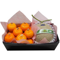 くだものの山長 高知県産マスクメロン&温室みかんセット 4582626933178 1箱（直送品）