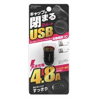 カシムラ DCコンパクトUSB2ポート DC047 1個