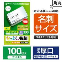 エレコム カット済み名刺用紙　マルチプリント紙　特殊　１００枚　白　角丸 MT-JMC2RWN 1個（わけあり品）