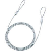 【在庫一掃！】サンワサプライ eセキュリティ(2.0M4.6mm) SLE-8W-2N 1個（わけあり品）