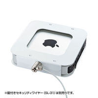 サンワサプライ Mac miniセキュリティ(eセキュリティ) SLE-21SMM 1個（わけあり品）