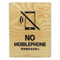 LALLABOX EbhTCv[g NO MOBILEPHONE TYPE1-1 120*160 Cv 458261475 1iij