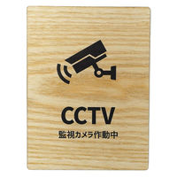 LALLABOX EbhTCv[g CCTV TYPE1-1 120*160 Cv 458261475 1iij
