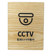 LALLABOX EbhTCv[g CCTV TYPE1-2 120*160 Cv 458261475 1iij