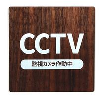 LALLABOX EbhTCv[g CCTV TYPE1-1 90*90 EH[ibg 458261475 1iij