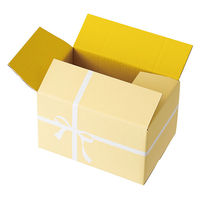 【60サイズ】ヘッズ クレール撥水宅配ギフトBOX-4 CLA-HCT4 W216×D146×H142mm 1梱包（10枚入）