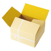 【60サイズ】ヘッズ クレール撥水宅配ギフトBOX-2 CLA-HCT2 W237×D216×H142mm 1セット（50枚）