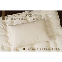 ハート オーガニック枕 レギュラー 4793 1個（直送品）