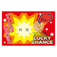 ササガワ 削りカスの出ないスクラッチくじ 特賞 1冊（1袋25枚入）