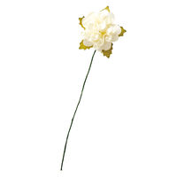 ヘッズペーパーカラフルフルリールーM/アイボリーー5 1袋（36本入）