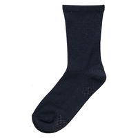 PAt@bV 薼ȌXx~ߕt\bNX RۖhL 24~26cm lCr[ 80015911 1iij
