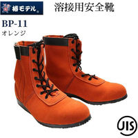 AC_ փfSC_IW_28.0 BP-11IW_28.0 1iij