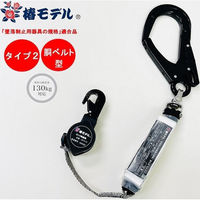 AC_ [[hLR-6-T2-BL130KG 1iij