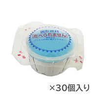 イシガキ 固形燃料 ケイネン 25g×30個入り アルミ付き 4132 1個（直送品）