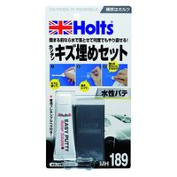 武蔵ホルト ホルツ MH189 水性カンタンパテ 15g 1個（直送品）