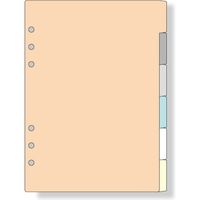 レイメイ藤井 ダヴィンチ リフィル A5 カラーインデックス 6区分 DAR506 1冊