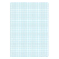 共栄プラスチック 下敷 しっかりシタ字キ A4 方眼/無地リバーシブル ラムネ SHS-A4-04 1本