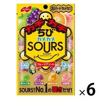 カチカチちびカメカメサワーズ フルーツアソート 70g 1セット（1個×6） グミ キャンディー ノーベル