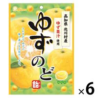大丸本舗 ゆず飴 80g x10 5732855 1セット(10個)（直送品