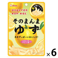 ライオン菓子 そのまんまゆず 23g 4903939015465 1セット(1個×6)