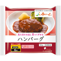 介護食 やわらか食　[冷凍食品] イーエヌ大塚製薬 ハンバーグ 92g 1セット(24個)（直送品）