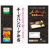 楽天市場】冷凍食品 イーエヌ大塚製薬 チーズハンバーグ弁当