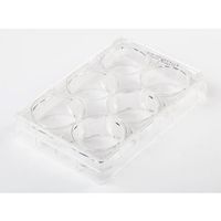 Fisherbrand 細胞培養マルチディッシュ 6ウェル 1枚×100枚入 FB012927 1セット(100枚)（直送品）