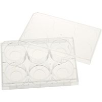 CELLTREAT 蓋付きの6ウェル組織培養プレート 20mm ガラス底 個別 滅菌 5バック入 229107 1バック（直送品）