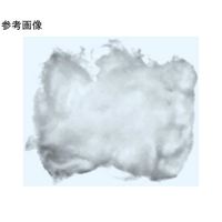 日本理化学器械 ガラスウール 10~12μm 1箱(500g入) GRW-10500 1箱 68-4131-21（直送品）