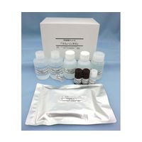 マルハニチロ 特定原材料測定キット 甲殻類キットII「マルハニチロ」 55362 1個 67-5201-25（直送品）