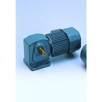 シグマー技研 シグマー 高効率IE3、直行中空軸三相750W脚取付形ギアモーター 減速比1/200 TMHL-08E-200 1台（直送品）