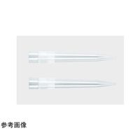 3101-05-RT（直送品）