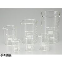 ウィザーライフサイエンス 厚手ビーカー 250mL FB-101-250 1個 65-4338-97（直送品）