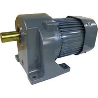 ニッセイ ギヤードモーター G3L28N50-MM04TWJNJ4 平行軸 脚取付 0.4kW 減速比1/50 三相 400V 手動解放ブレーキ付 軸炭素鋼